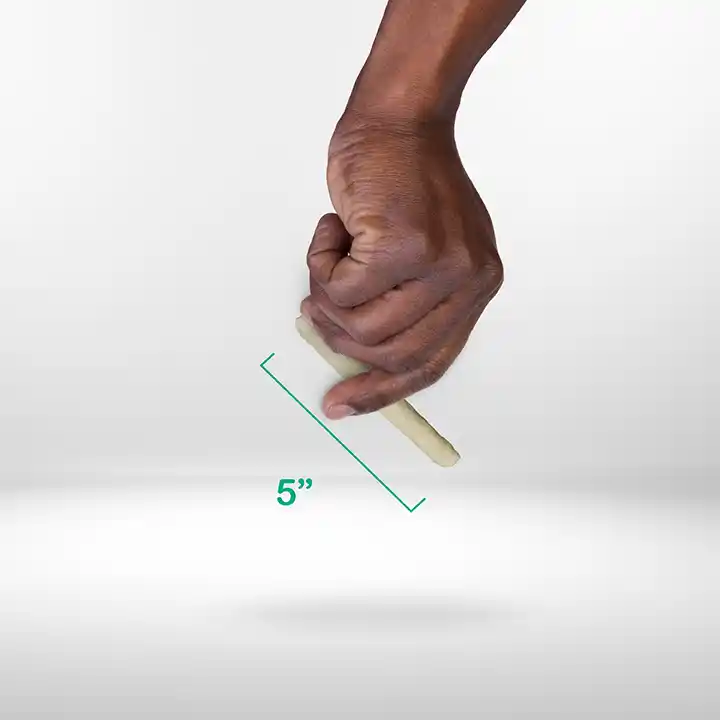 Scale