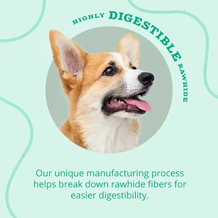 Highly Digestible Rawhide