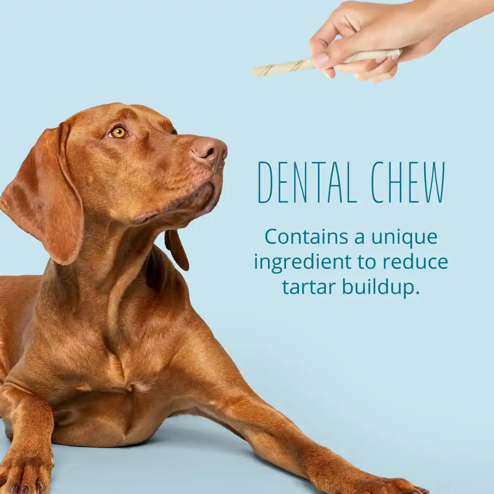 Dental Twists