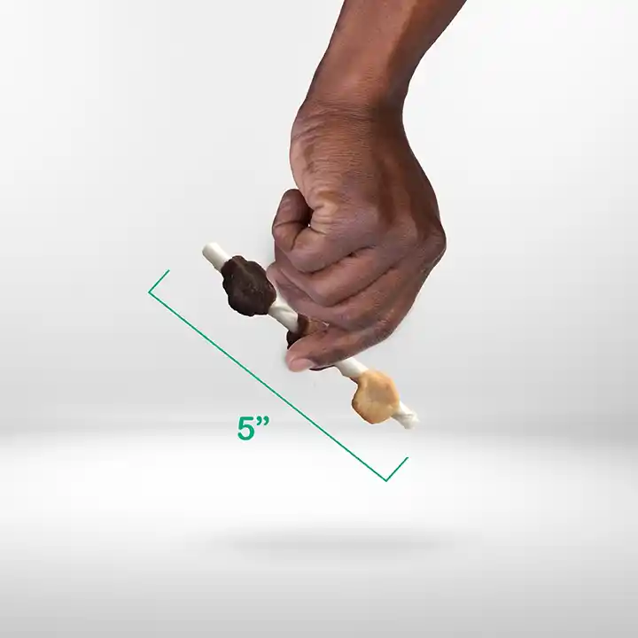 Scale