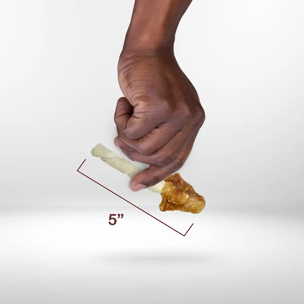 Scale