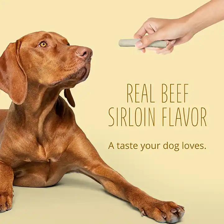 Real Beef Sirloin