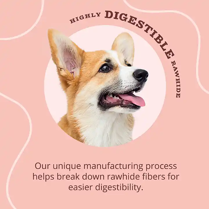 Highly Digestible