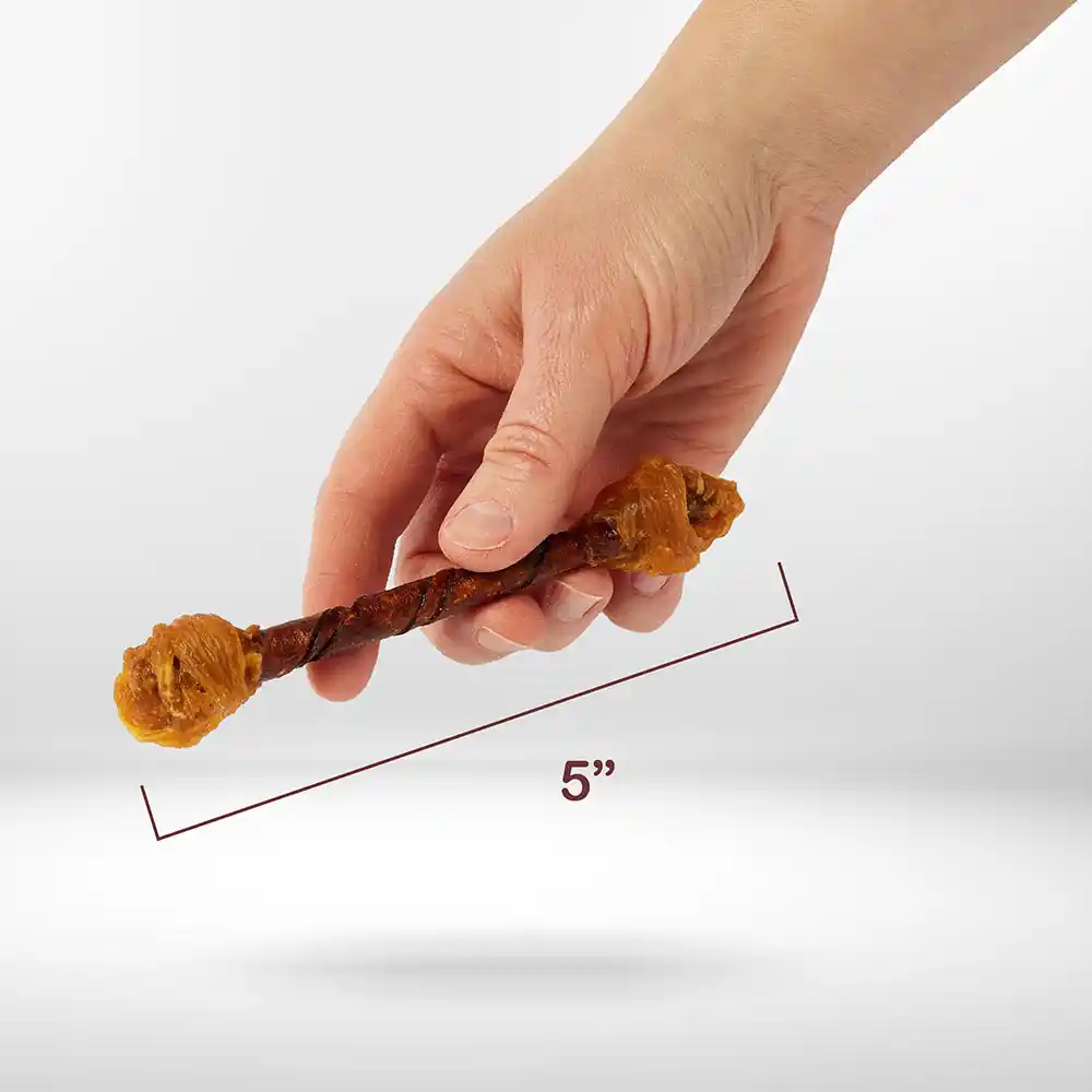 Scale