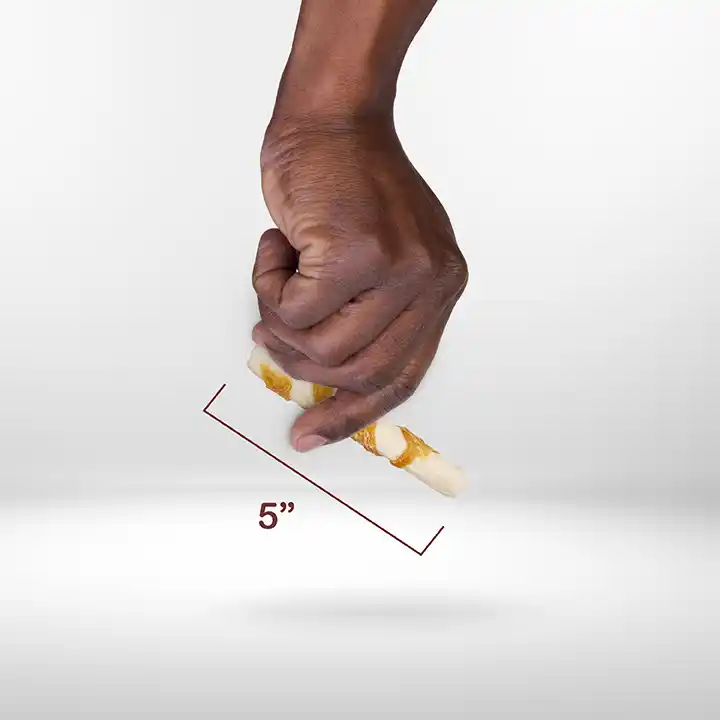 Scale