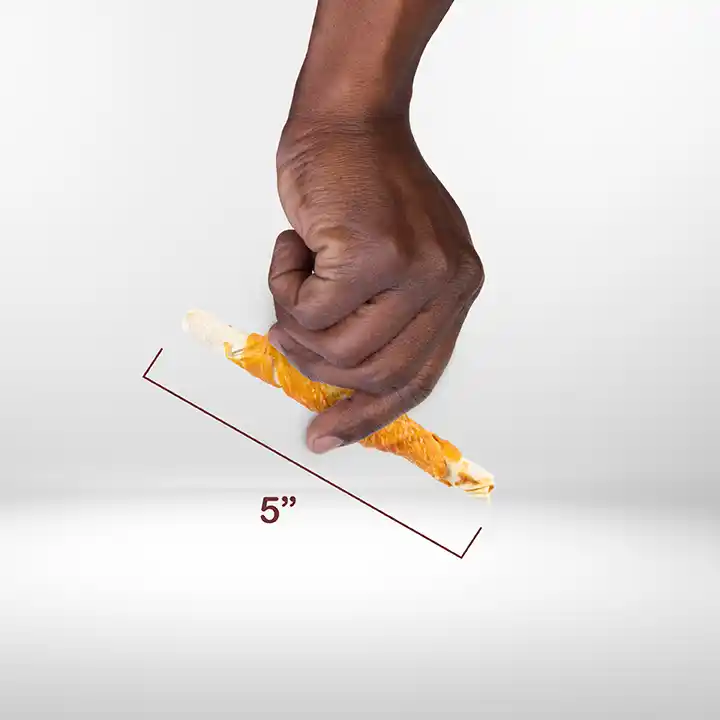 Scale