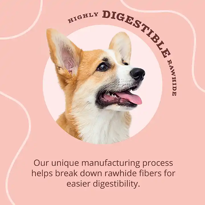 Highly Digestible