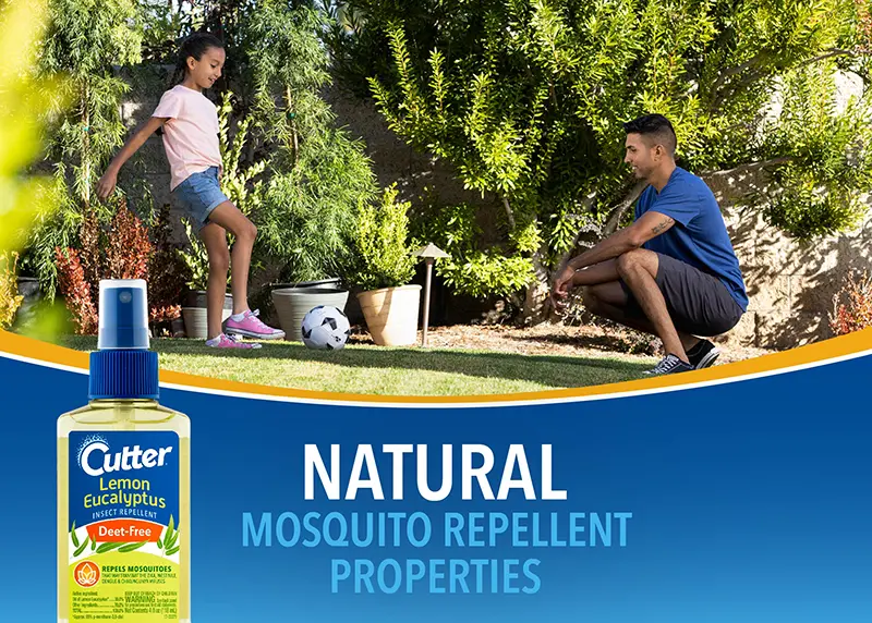 Cutter Trim Lawn