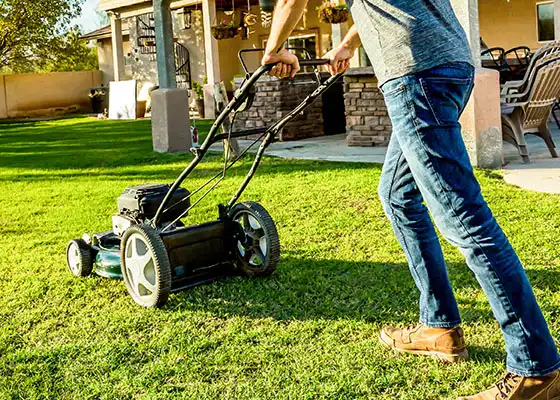Cutter Trim Lawn