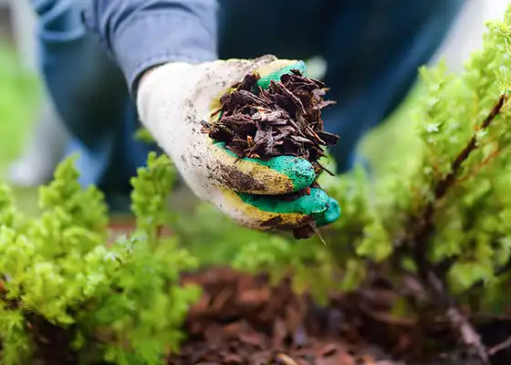 Cutter Mulch