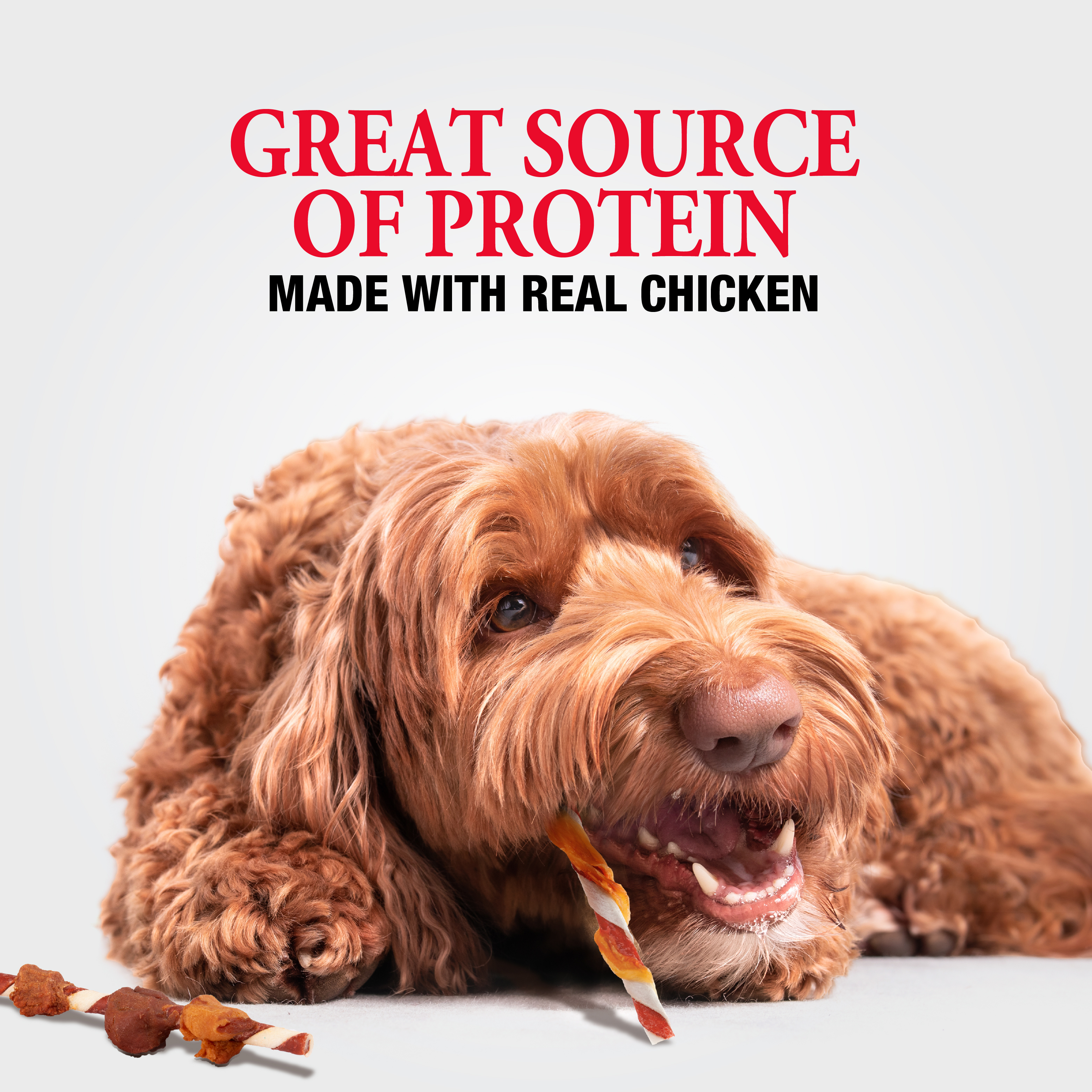 Great Source of Protein