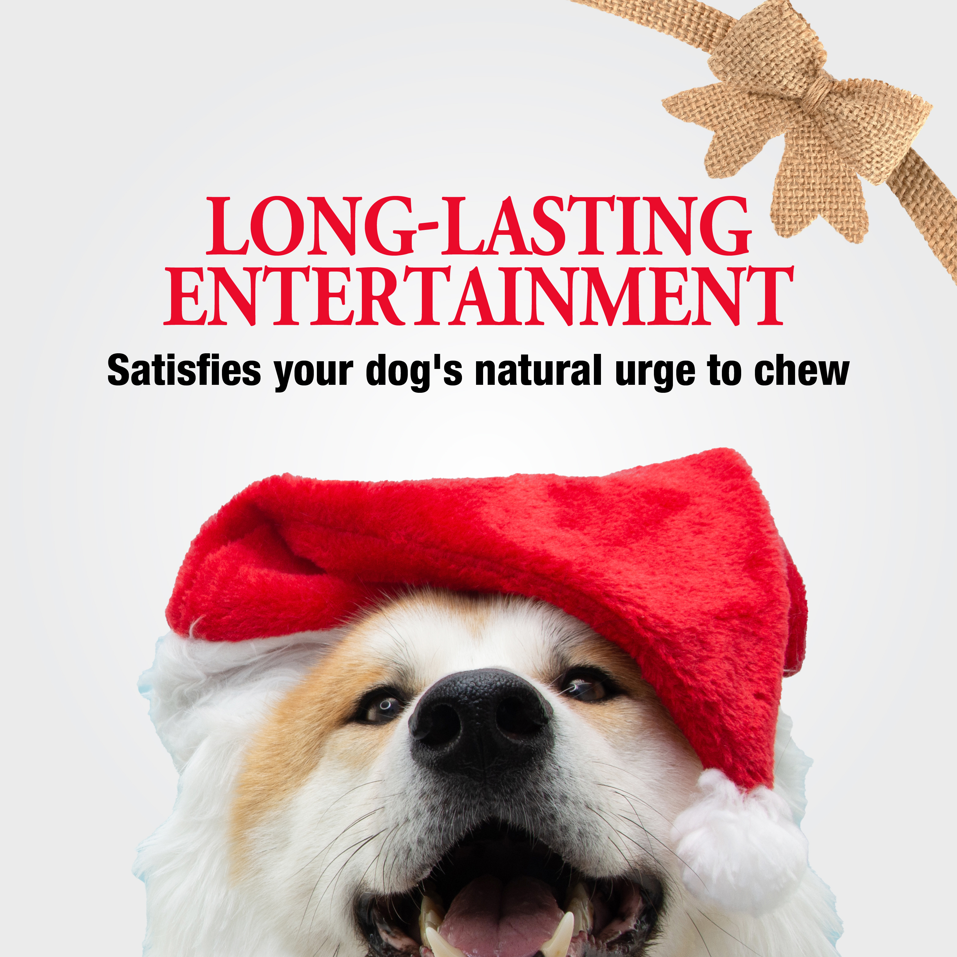 Long Lasting Entertainment