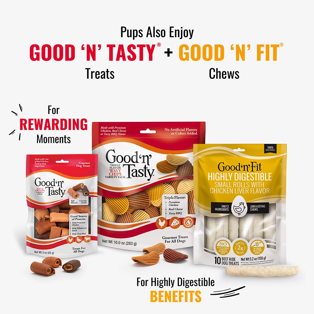 P-94510H Good ‘n’ Fun Triple Flavor Mini Bones Chews for Dogs, 6 Count - Also Try GNT and GNFit