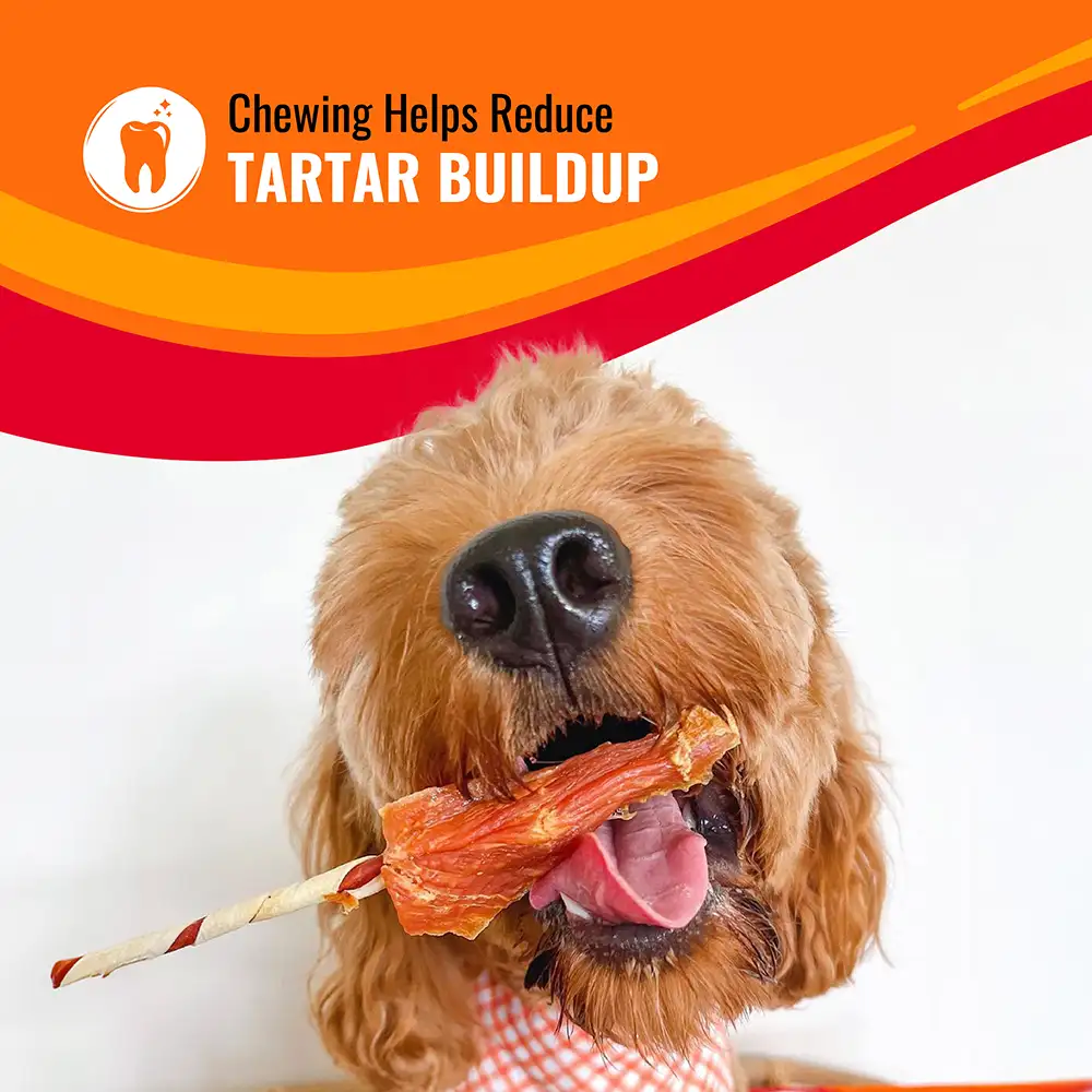 Chewing helps reduce tartar buildup