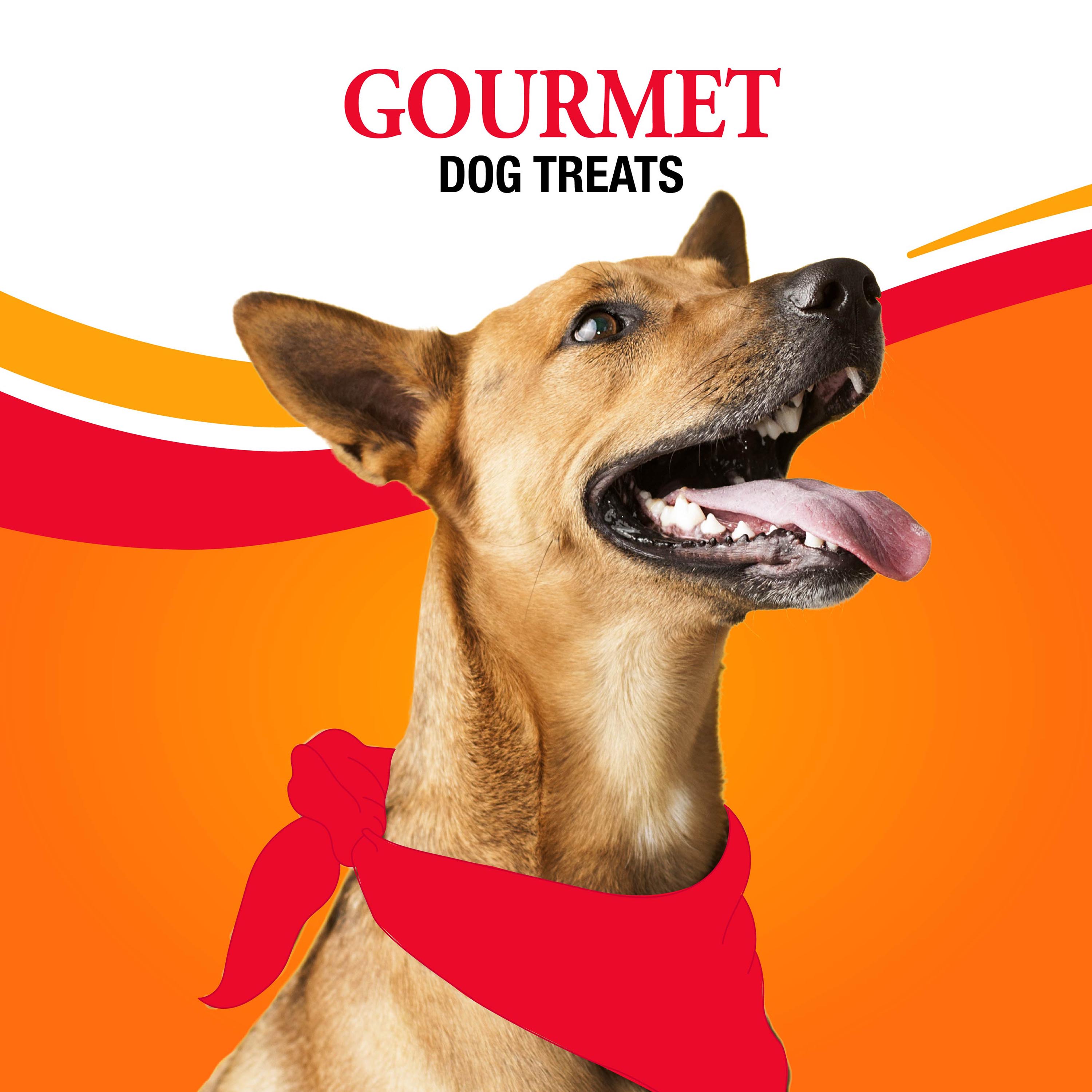 P-94871T Triple Flavor Mini Drumsticks Chews - Gourmet Dog Treats