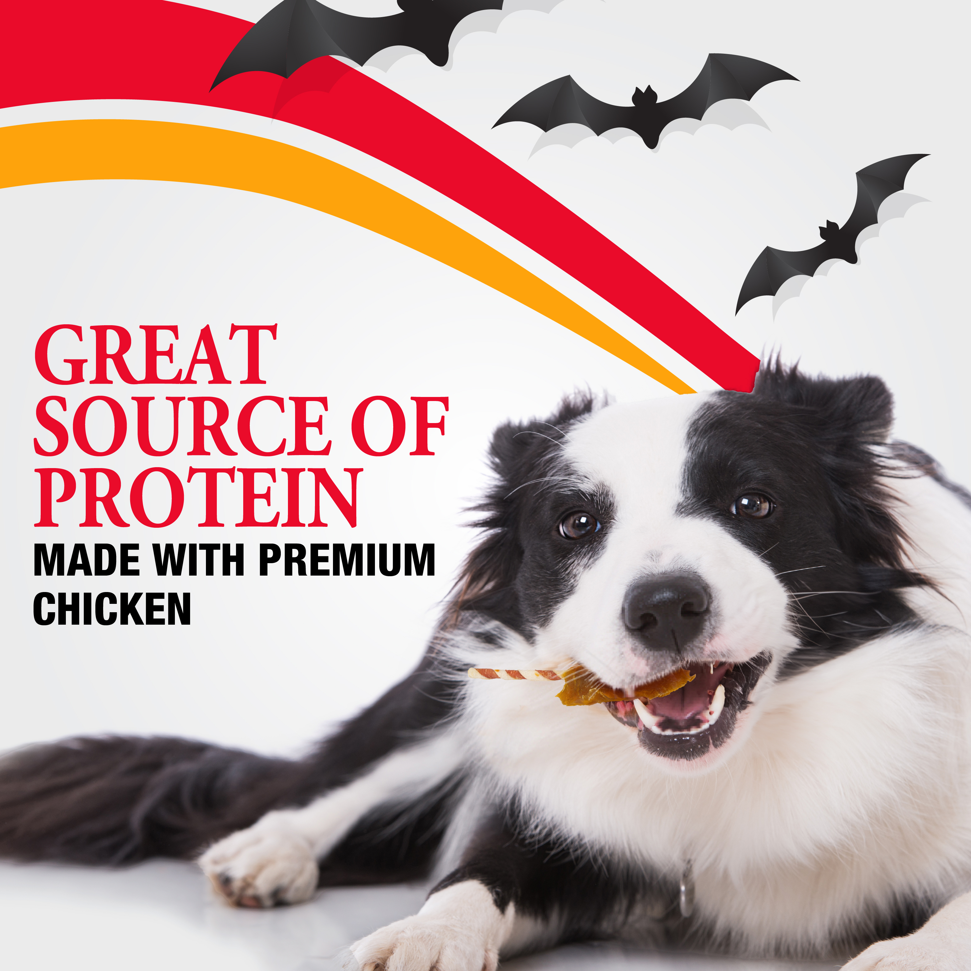 Great Source of Protein