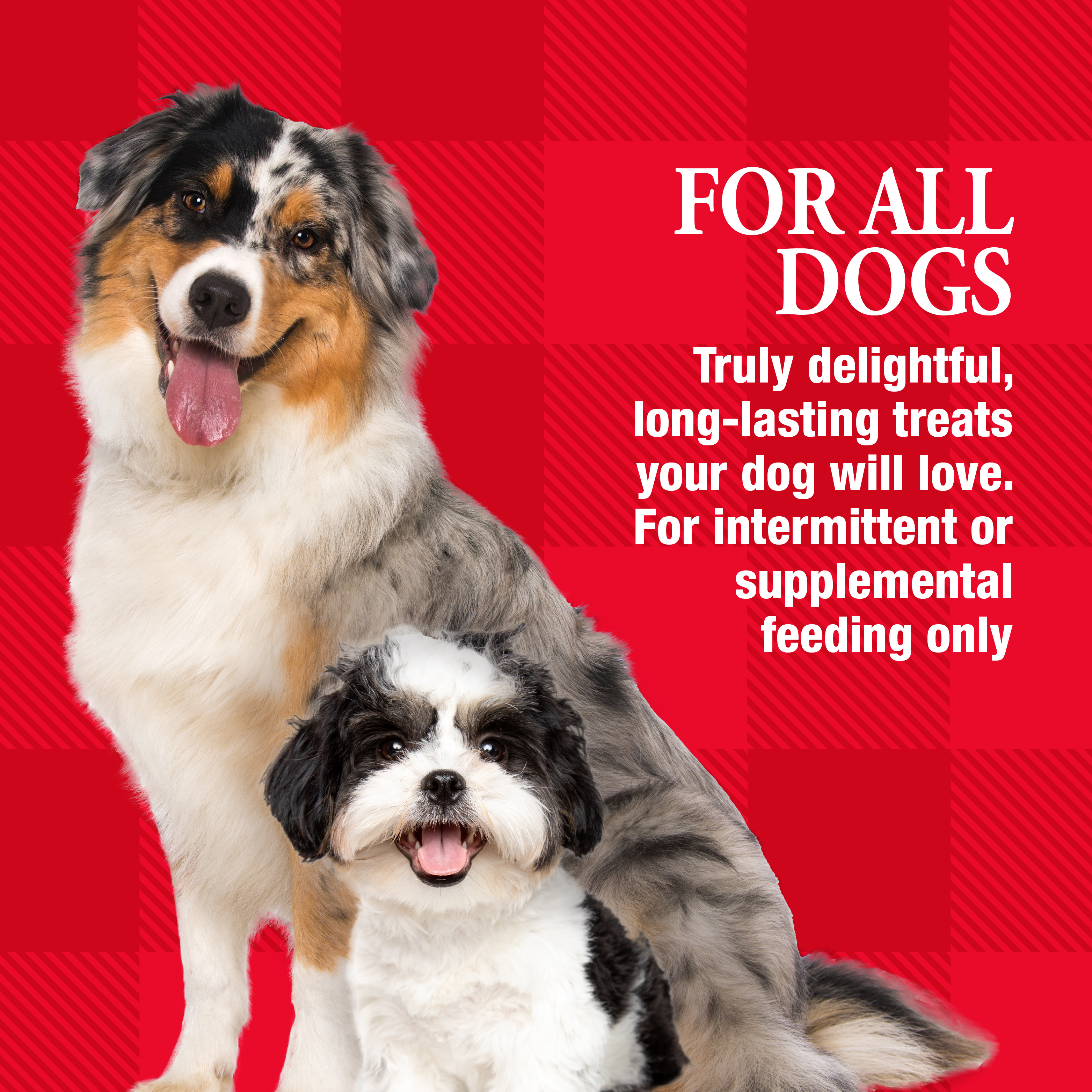For All Dogs