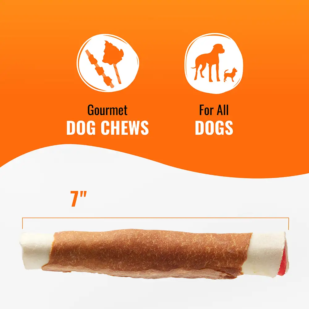 Gourmet dog chews for all dogs