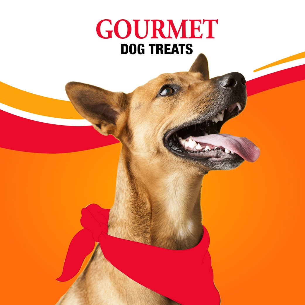 Gourmet Dog Treats