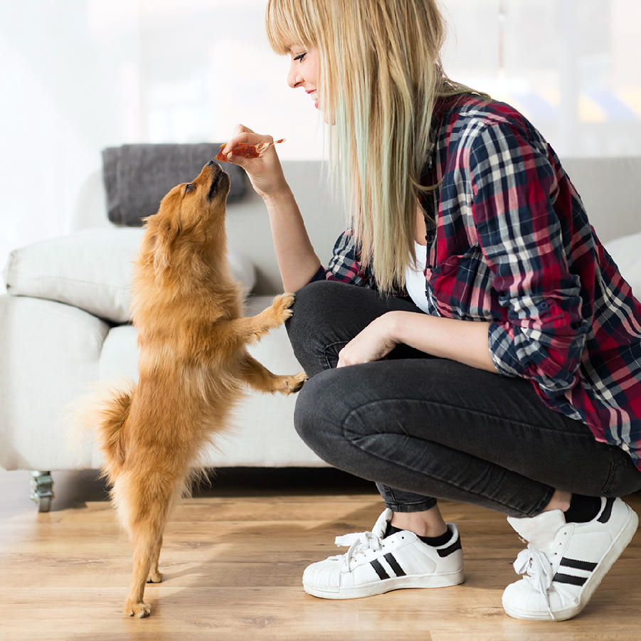 Girl giving dog a treat