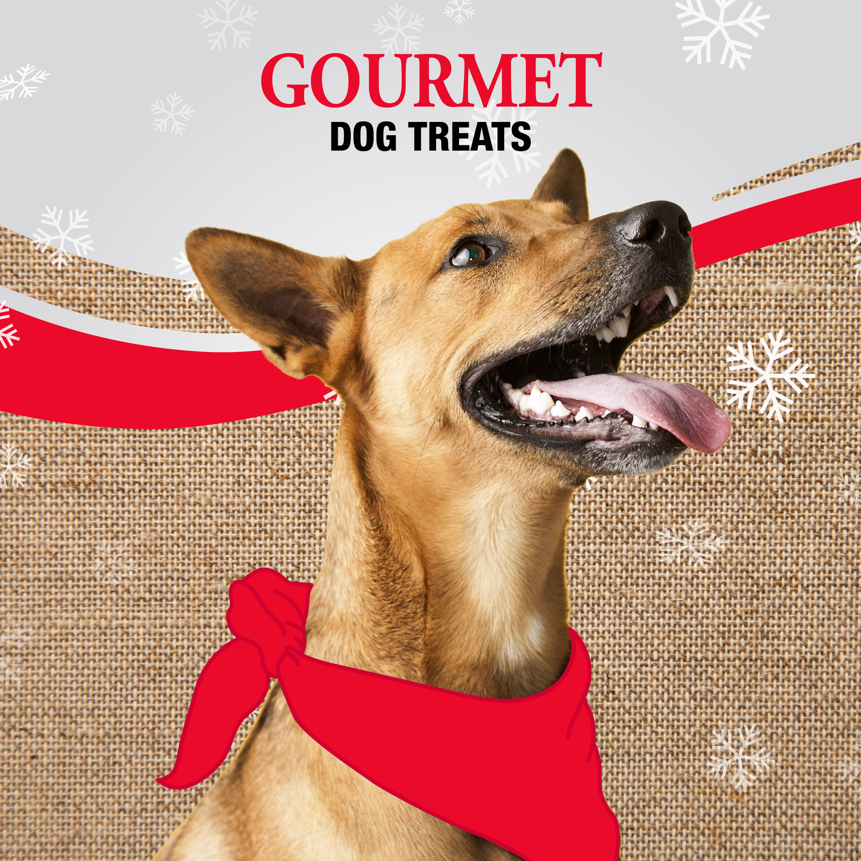 P-94606H Triple Flavor Variety Pack Holiday 24 ct - Gourmet Dog Treats