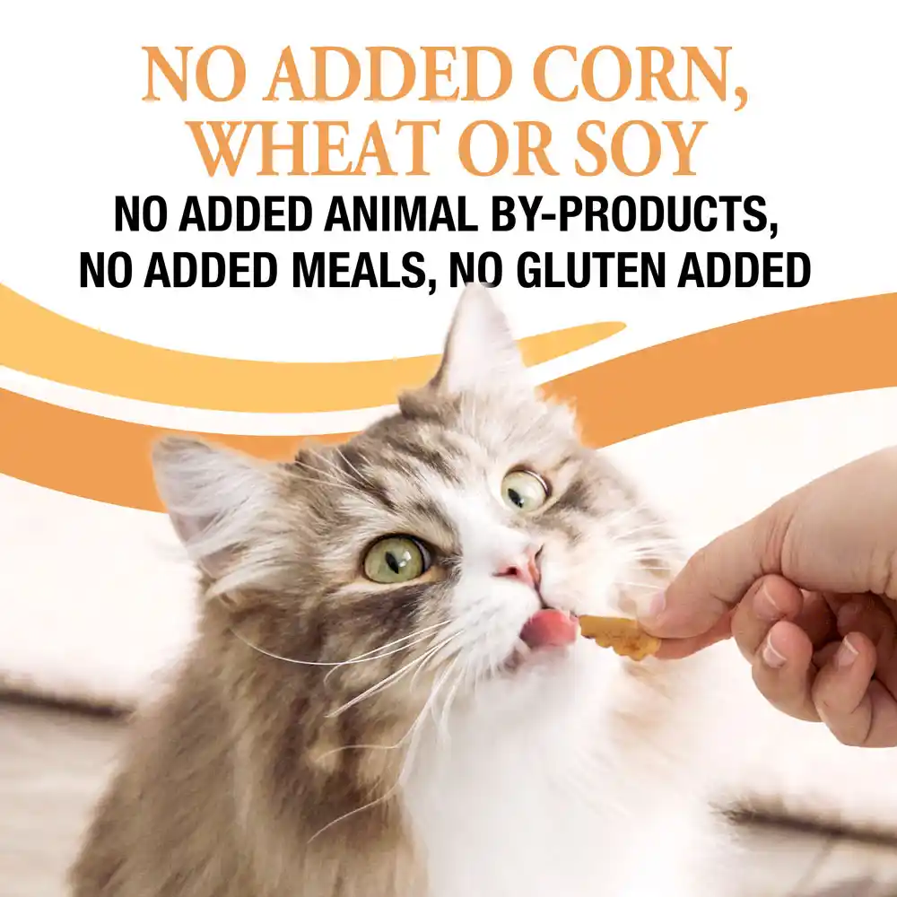 No added corn, wheat or soy. No added animal by-products, no added meals, no gluten added.