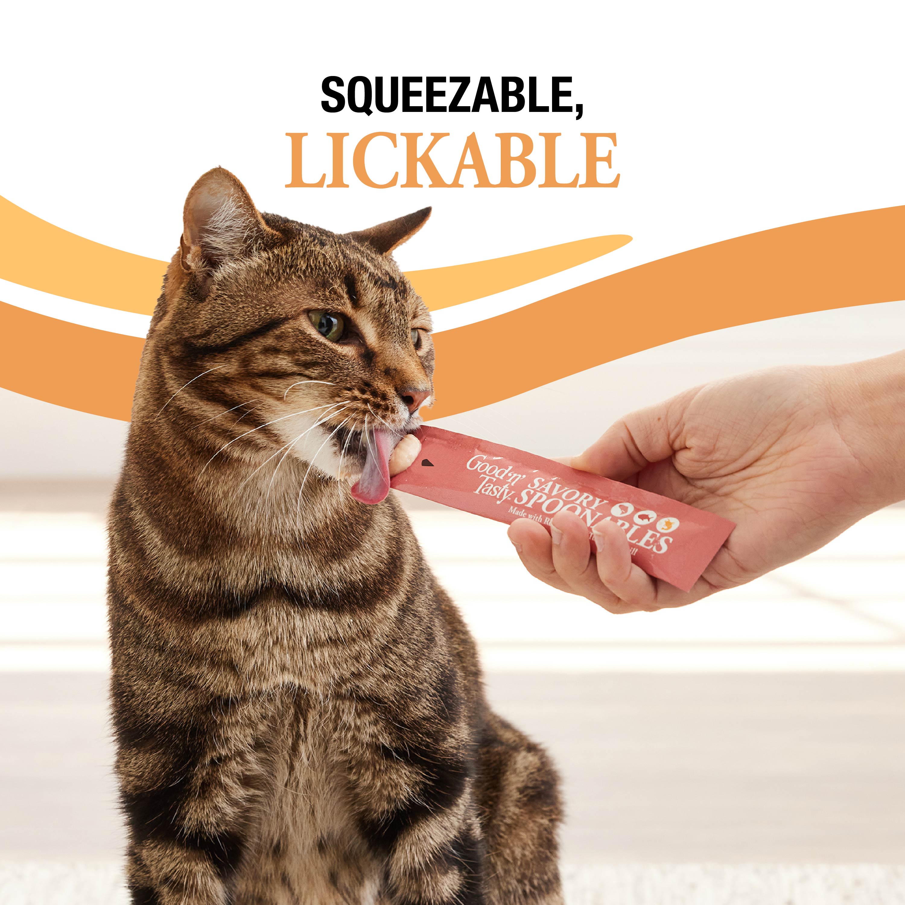 Squeezable and Lickable Treat