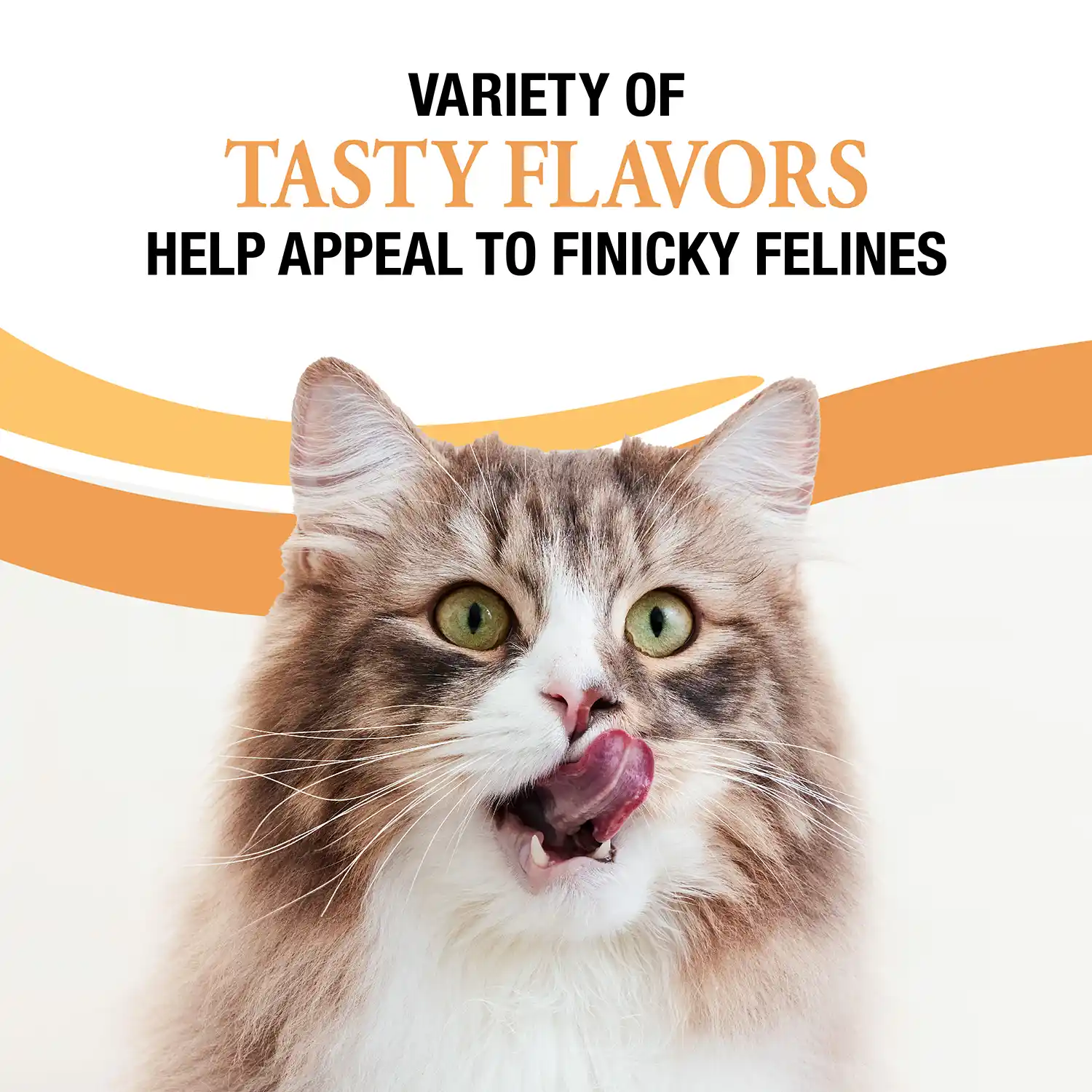 Variety of tasty flavors help appeal to finicky felines.