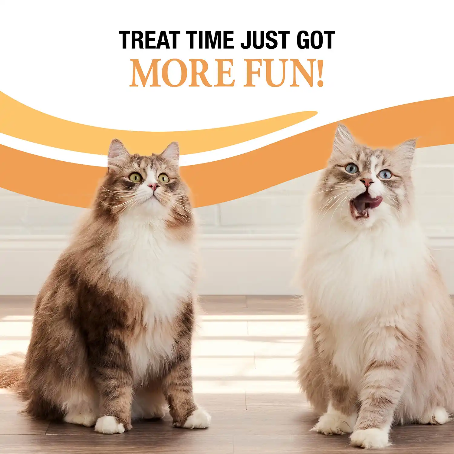 Treat time just got more fun!