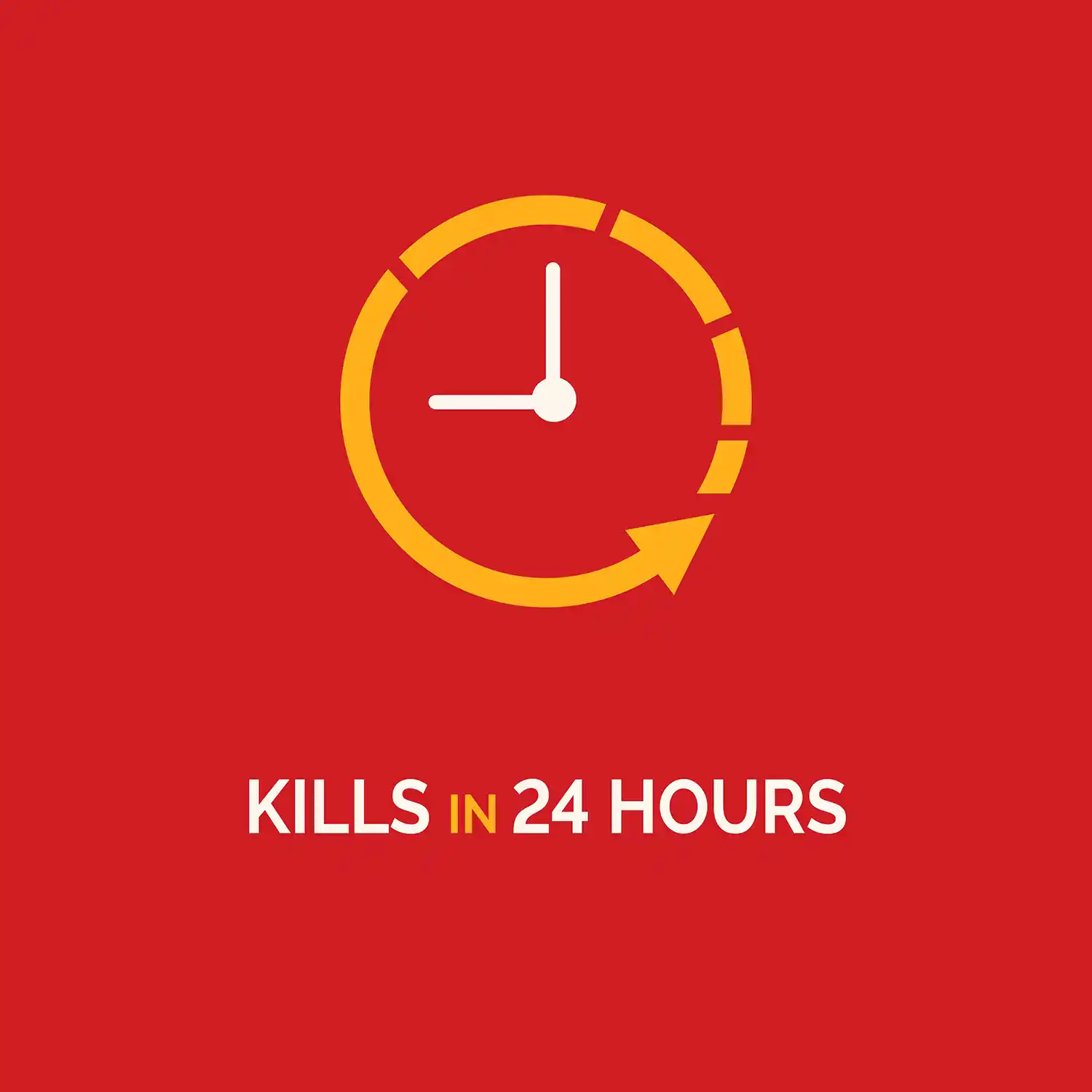Kills in 24 Hours