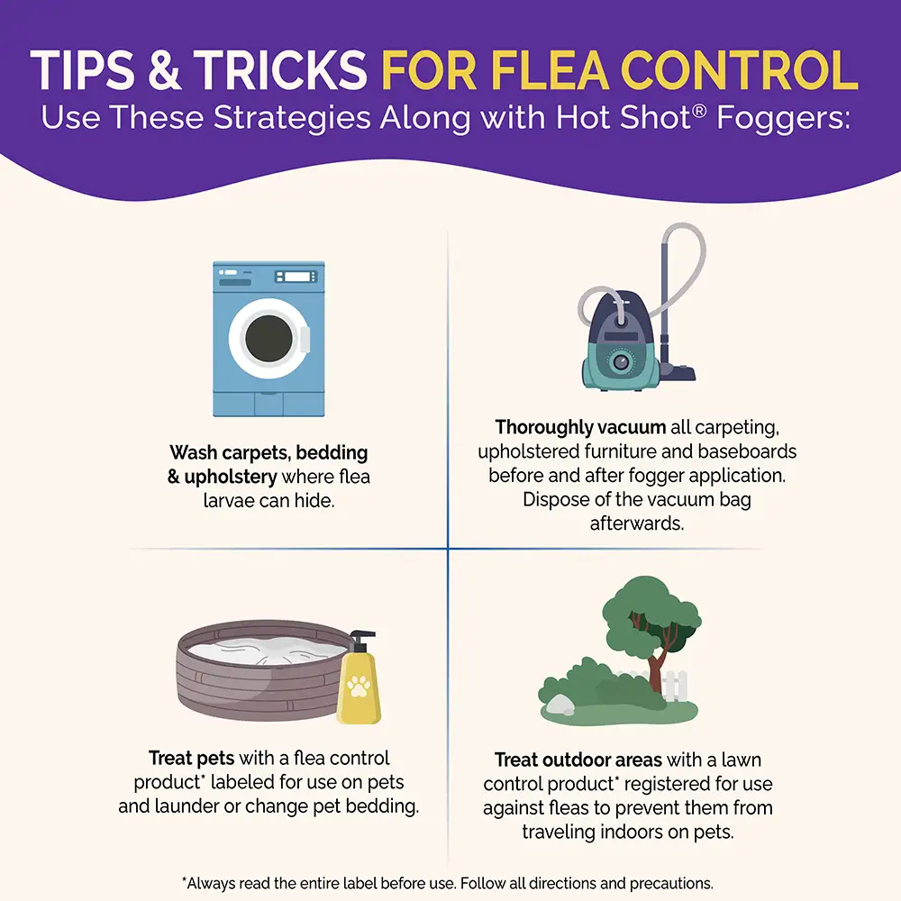 tips and tricks for flea control. wash carpets, bedding and upholstery. thoroughly vacuum. treat pets. treat outdoor areas.