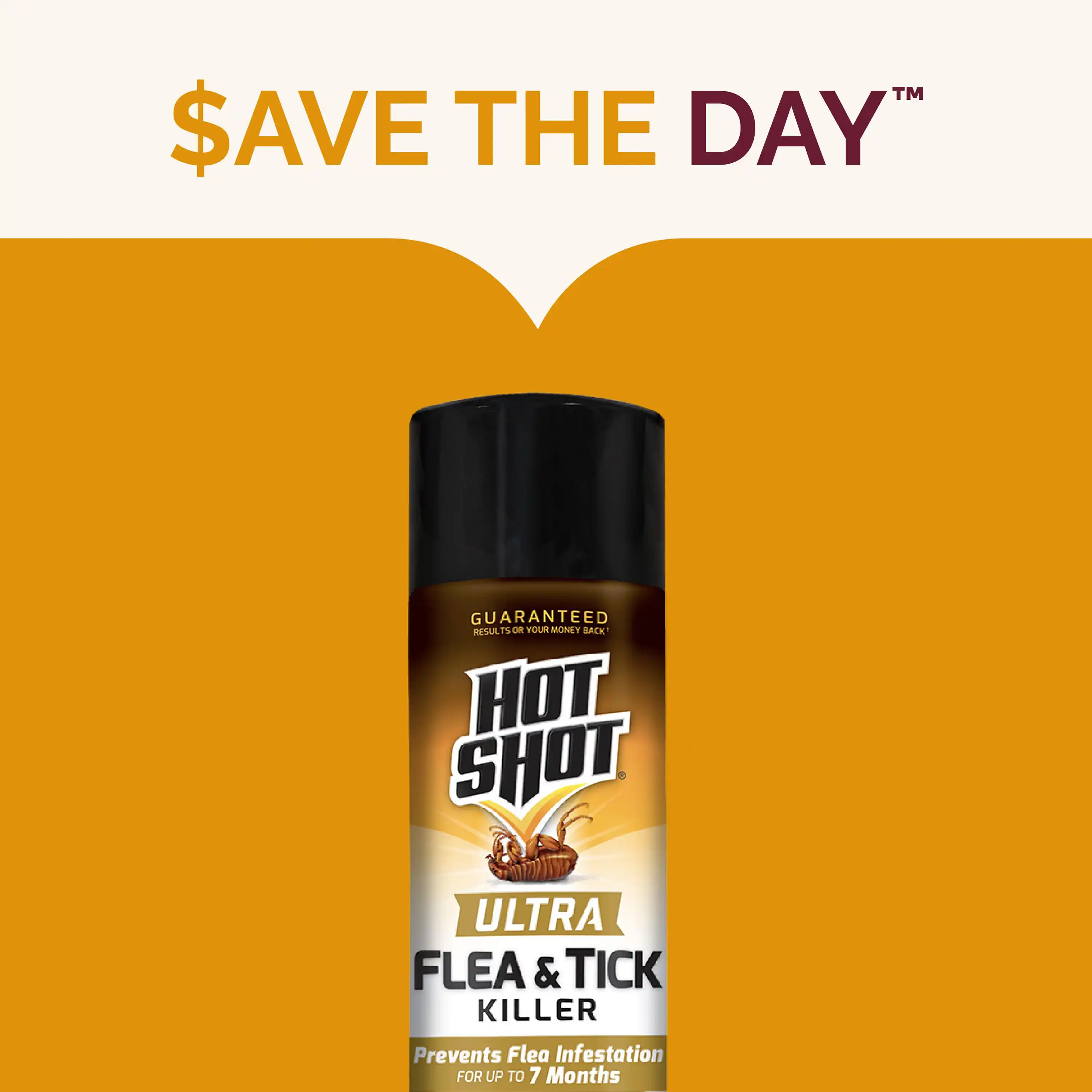 Save the day