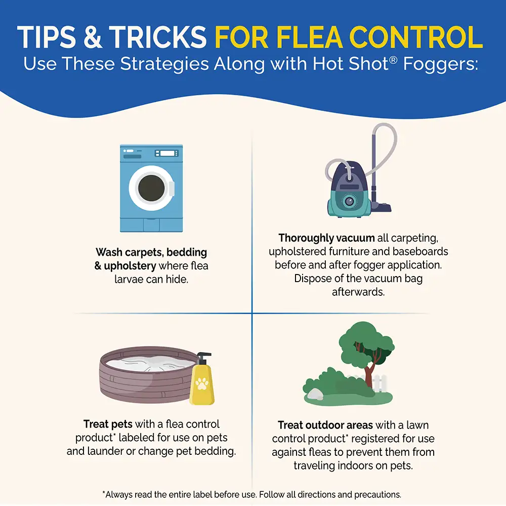 tips and tricks for flea control. wash carpets, bedding and upholstery. thoroughly vacuum. treat pets. treat outdoor areas.
