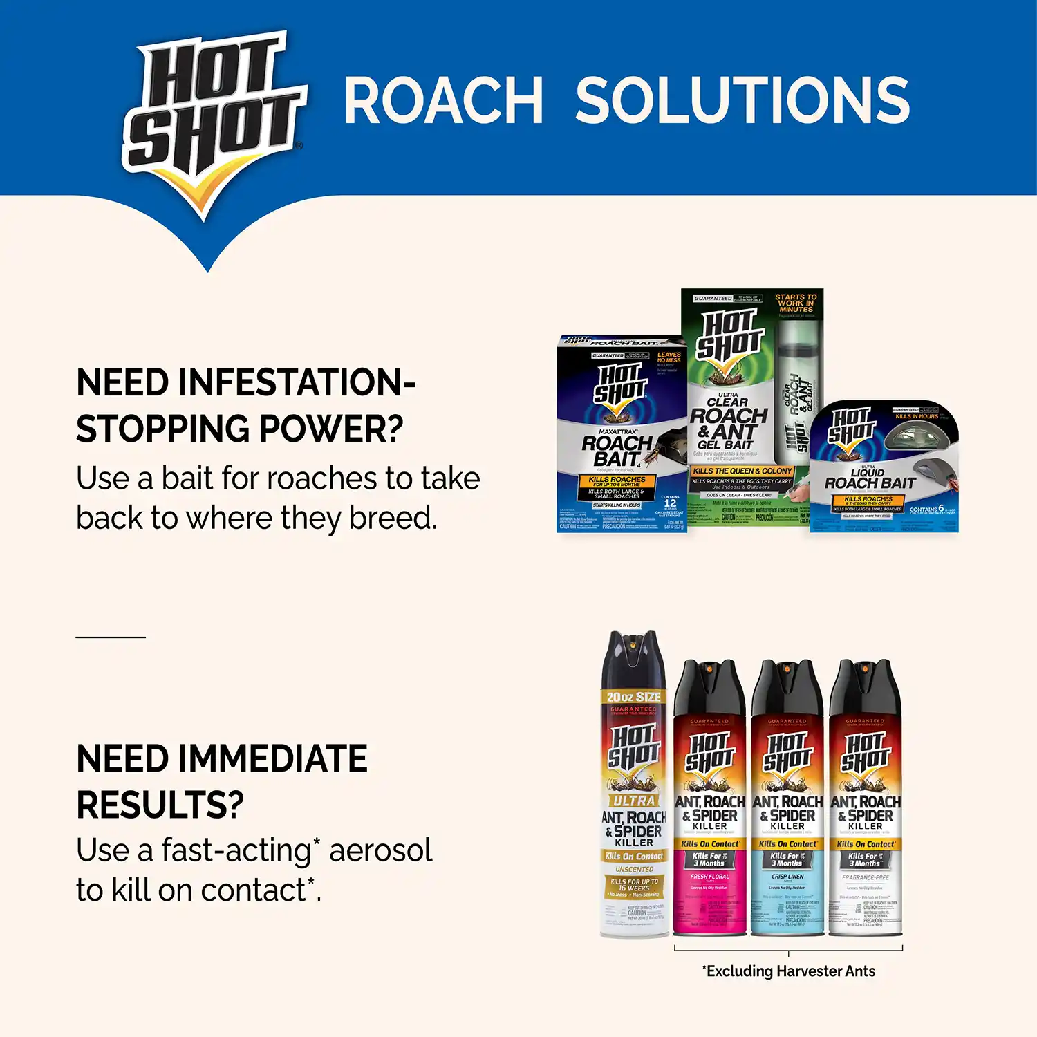 Roach Solutions
