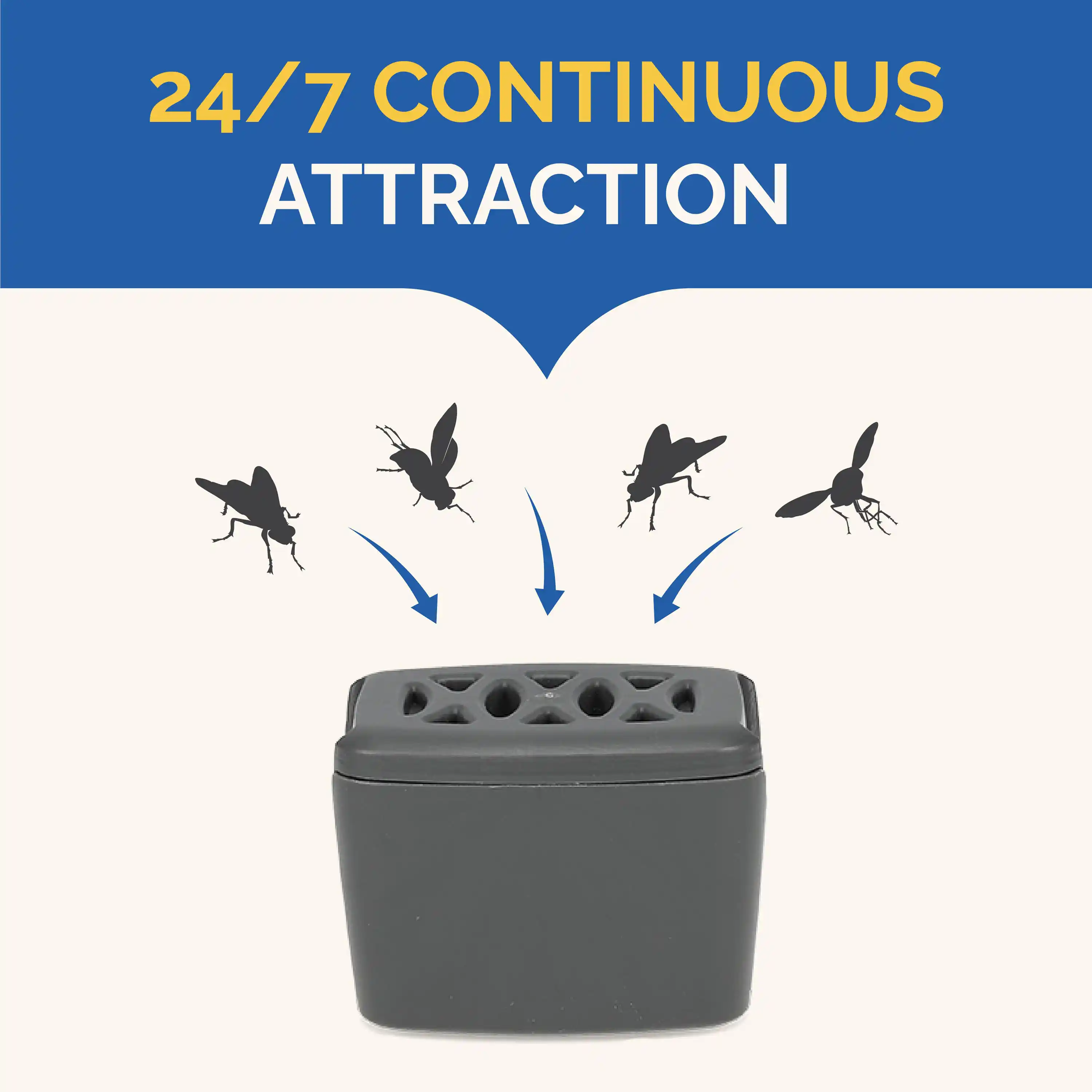 24/7 Continuous Attraction