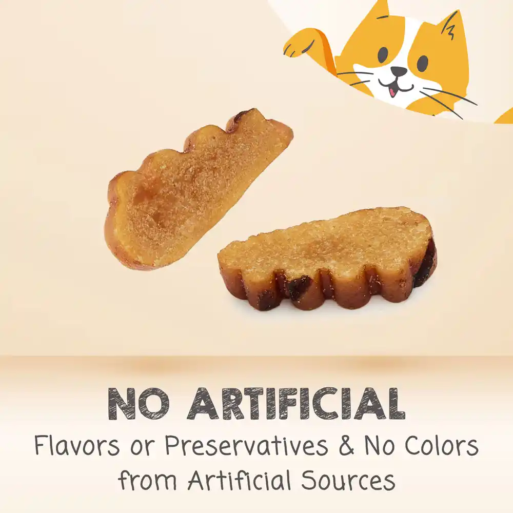 No artificial flavors or preservatives and no colors from artificial sources