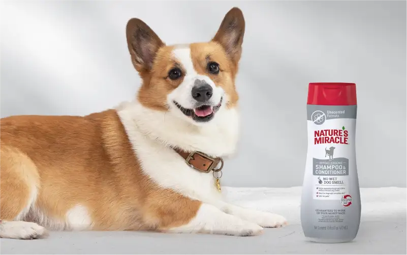 Hypoallergenic Shampoo & Conditioner