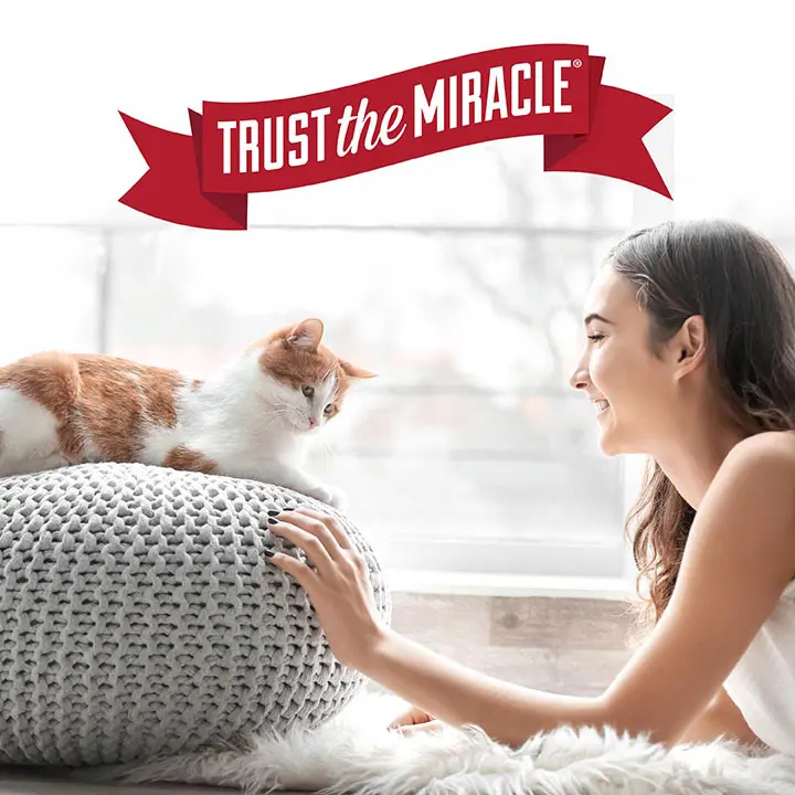 Nature's miracle hooded flip top litter box discount