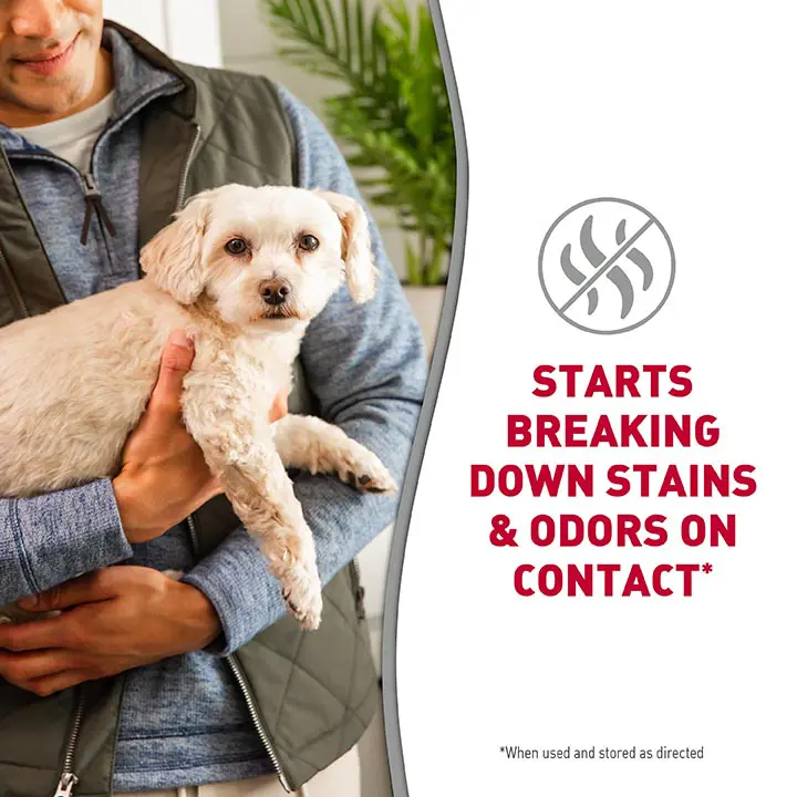 Pet odor floor cleaner outlet