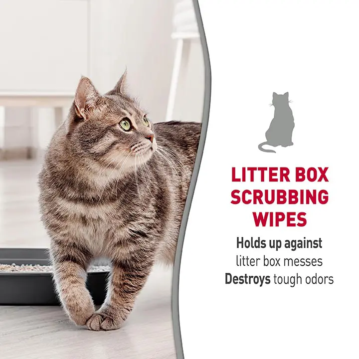 Litter box wipes outlet