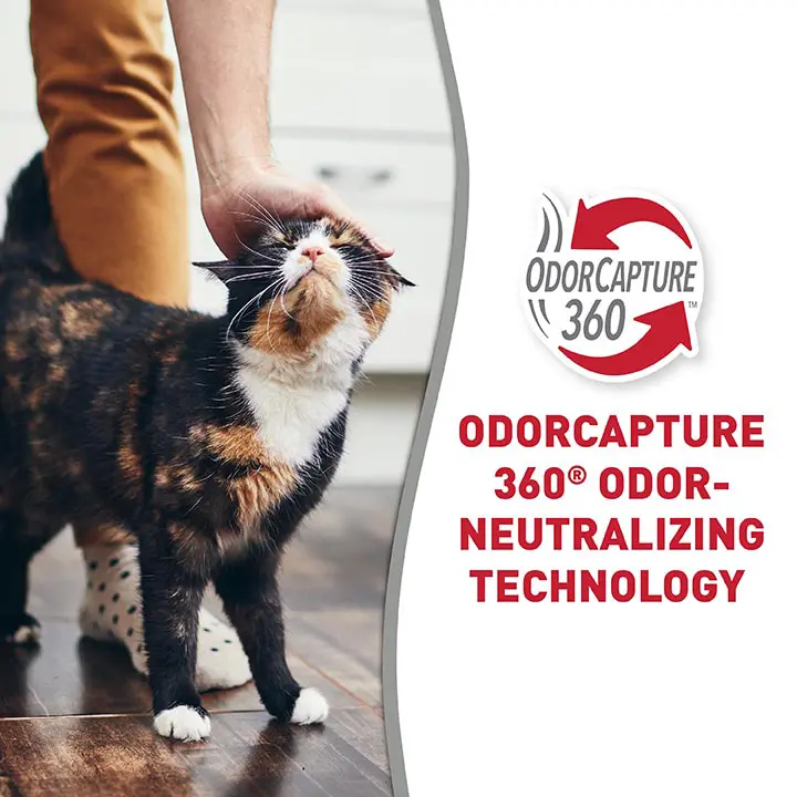 Odor 360