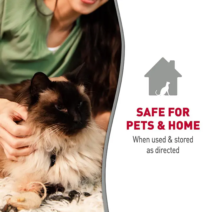 Pets at home cat wipes best sale