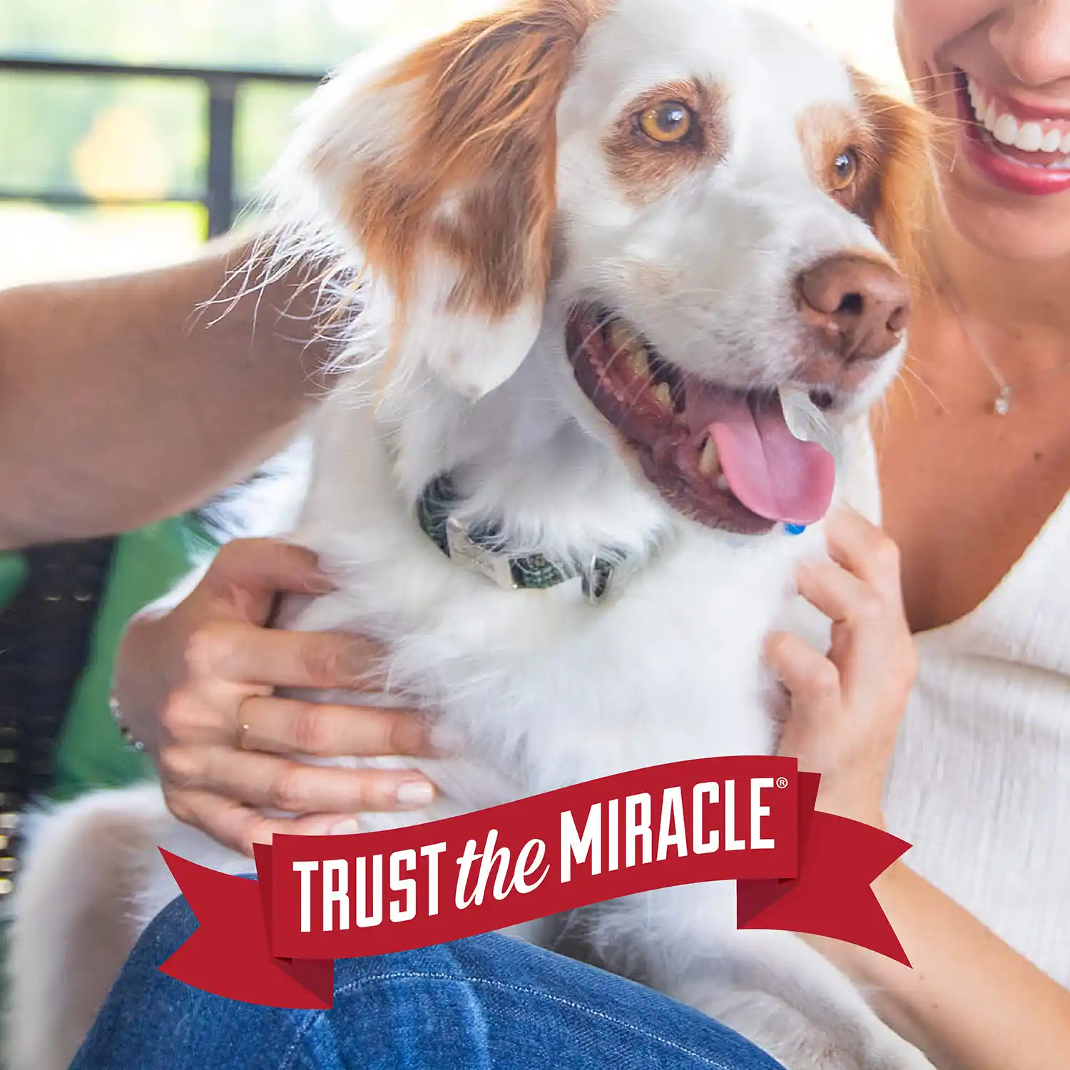 Trust the Miracle
