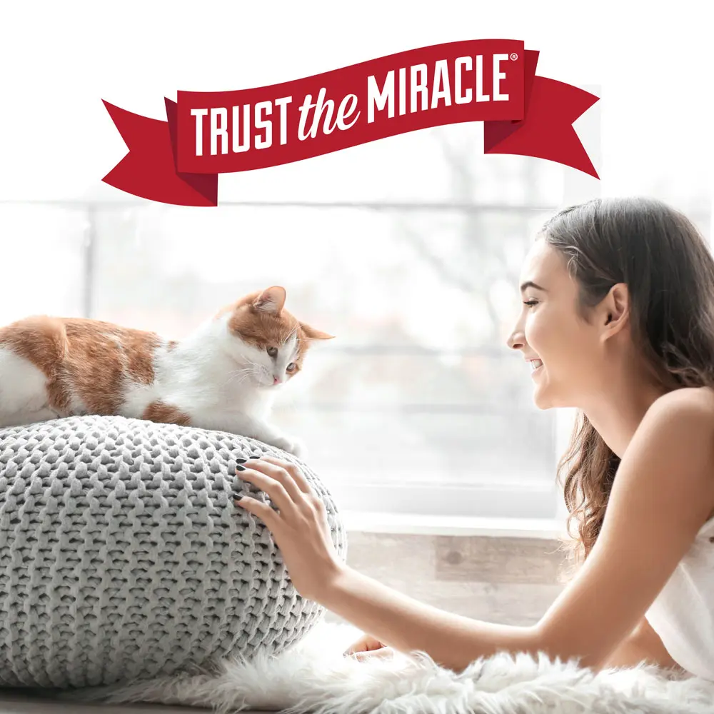 Trust The Miracle