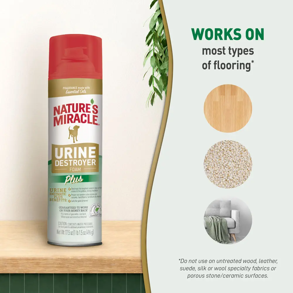 Urine destroyer pets at home 2025