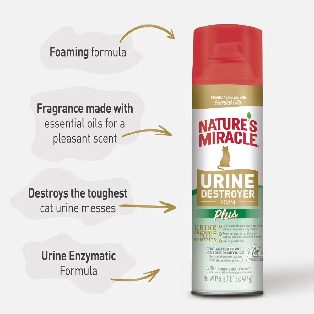 Urine Destroyer for Cats