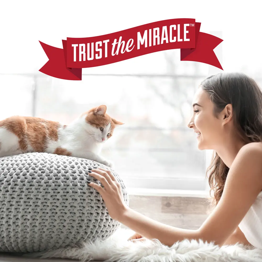 Nature's miracle set in stain destroyer shop
