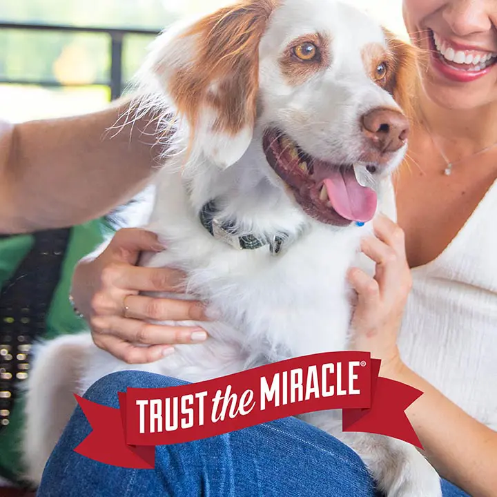 Trust The Miracle