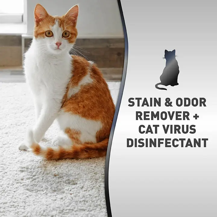 Advanced Platinum Stain and Odor Remover and Virus Disinfectant for Cats