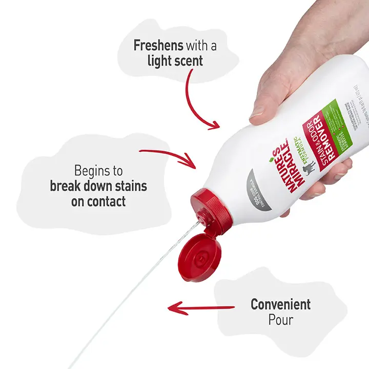 Stain and Odor Remover for Dog InUse